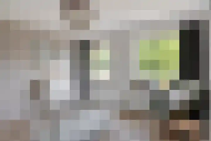 Dr. Poelsstraat 35 's-Hertogenbosch thumbnail 17