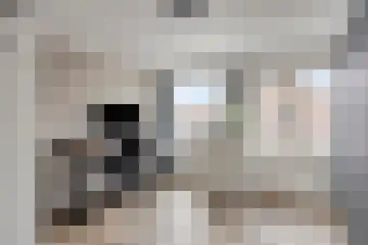 Dr. Poelsstraat 35 's-Hertogenbosch thumbnail 21