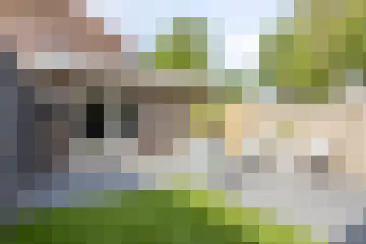 Dr. Poelsstraat 35 's-Hertogenbosch thumbnail 26