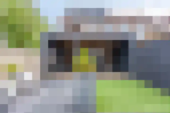 Dr. Poelsstraat 35 's-Hertogenbosch thumbnail 28