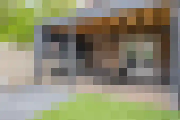 Dr. Poelsstraat 35 's-Hertogenbosch thumbnail 29