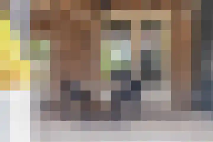Dr. Poelsstraat 35 's-Hertogenbosch thumbnail 31