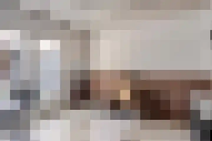 Dr. Poelsstraat 35 's-Hertogenbosch thumbnail 32