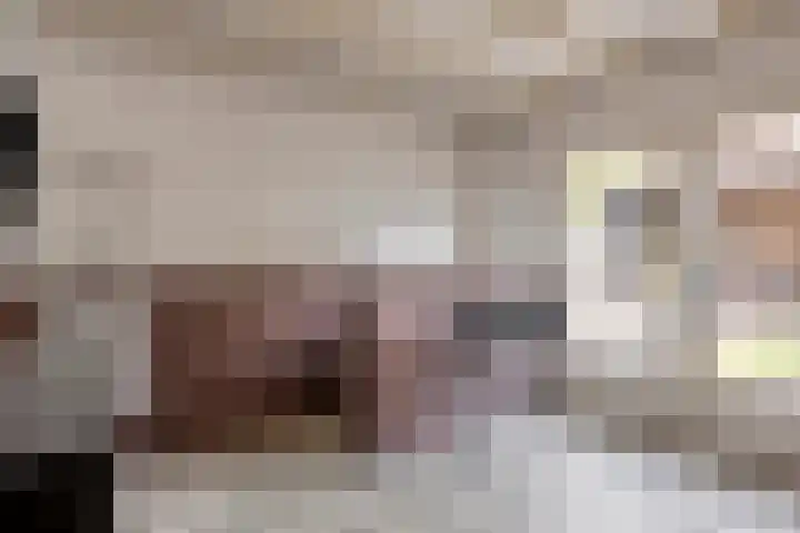 Dr. Poelsstraat 35 's-Hertogenbosch thumbnail 33