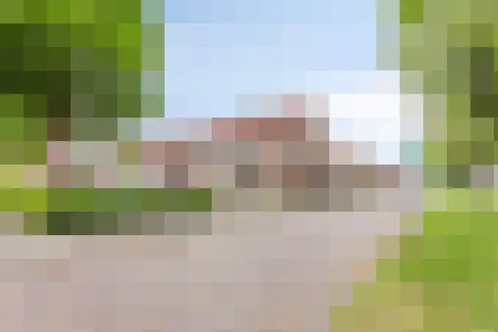 Dr. Poelsstraat 35 's-Hertogenbosch thumbnail 34