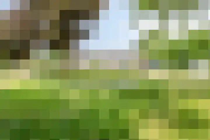 Dr. Poelsstraat 35 's-Hertogenbosch thumbnail 37