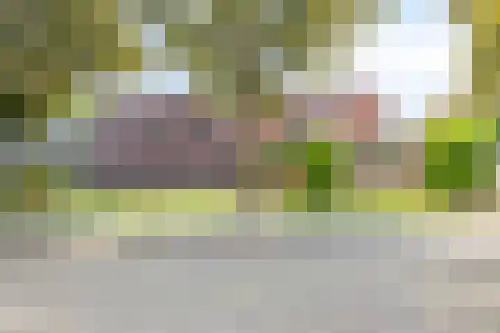 Dr. Poelsstraat 35 's-Hertogenbosch thumbnail 38