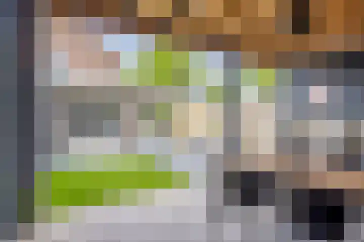 Dr. Poelsstraat 35 's-Hertogenbosch thumbnail 4