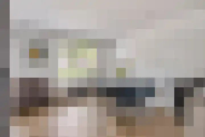 Dr. Poelsstraat 35 's-Hertogenbosch thumbnail 8