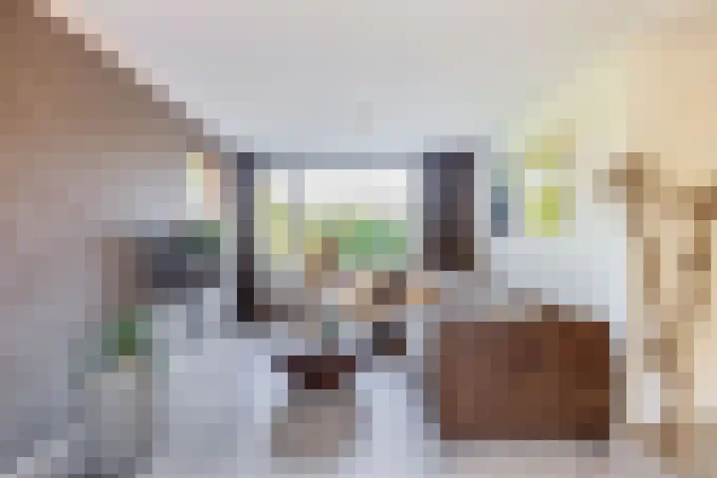 Dr. Poelsstraat 37 Standdaarbuiten thumbnail 12