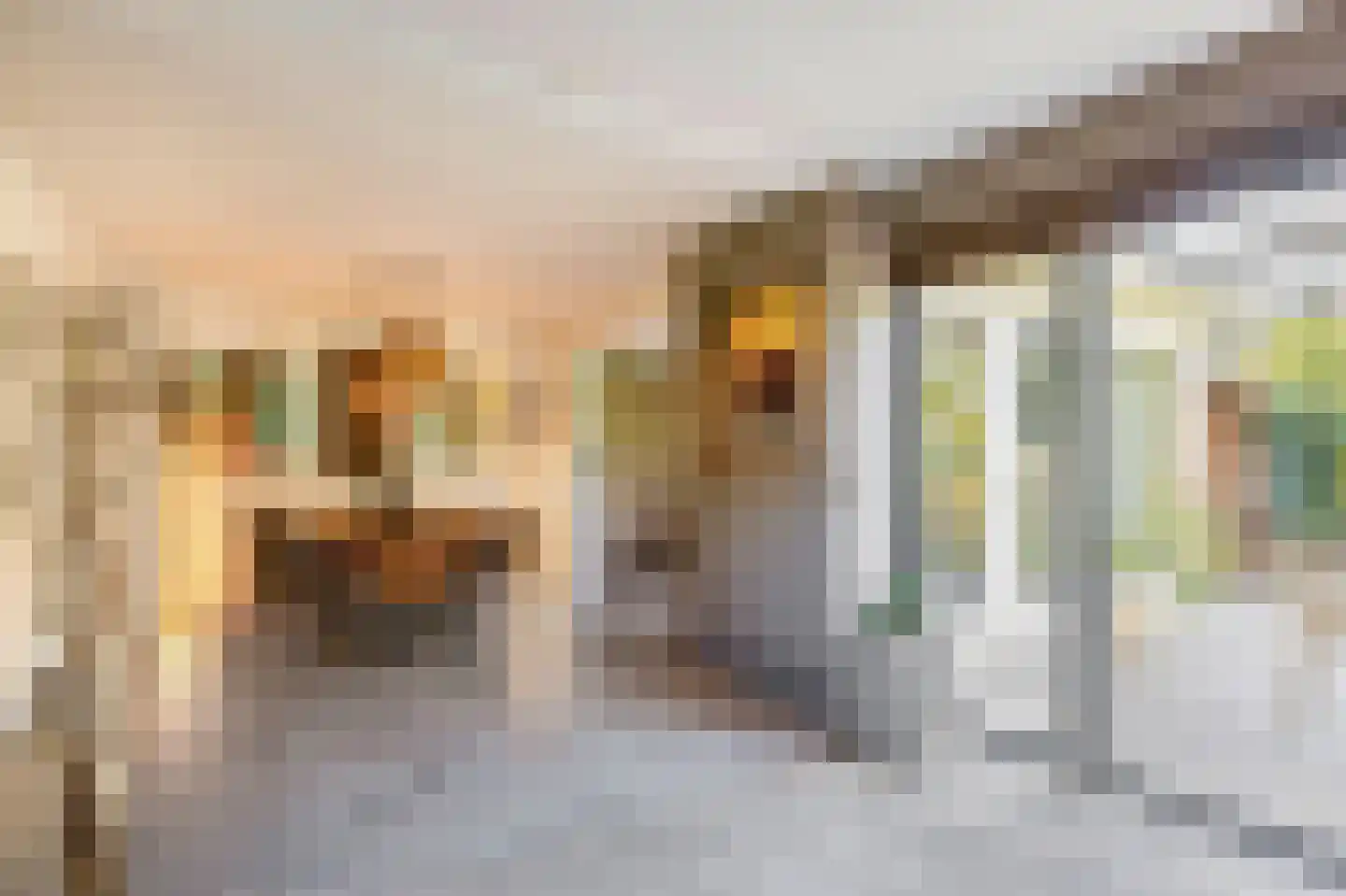 Dr. Poelsstraat 37 Standdaarbuiten thumbnail 15