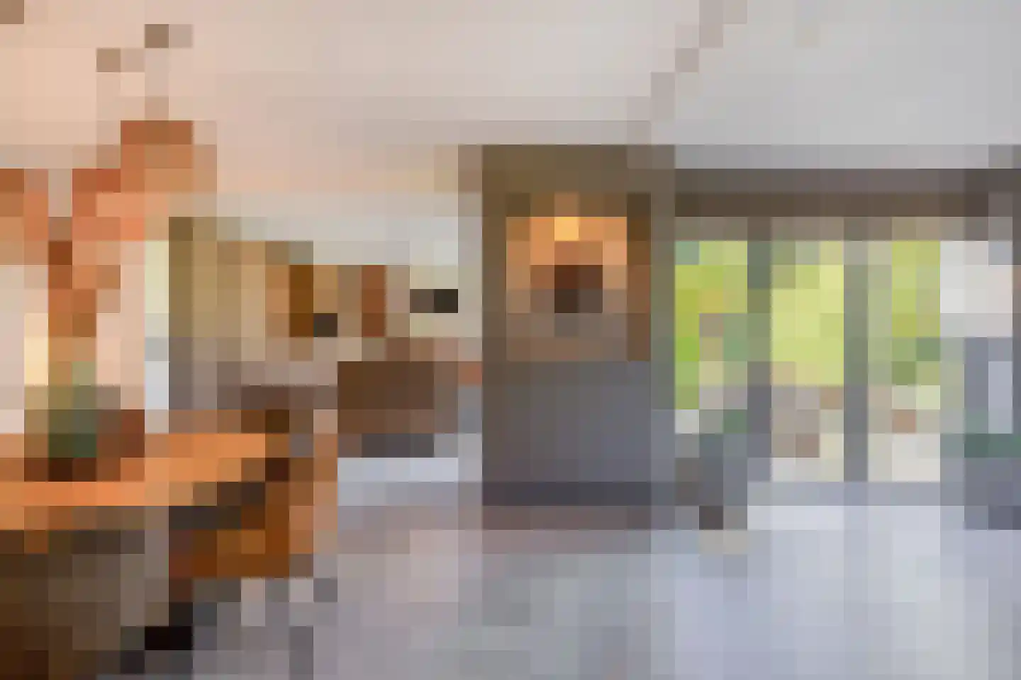 Dr. Poelsstraat 37 Standdaarbuiten thumbnail 20