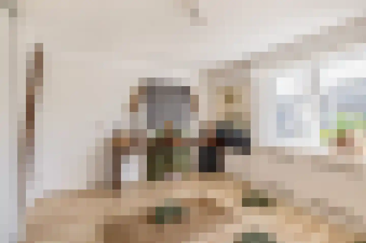 Dr. Poelsstraat 37 Standdaarbuiten thumbnail 30