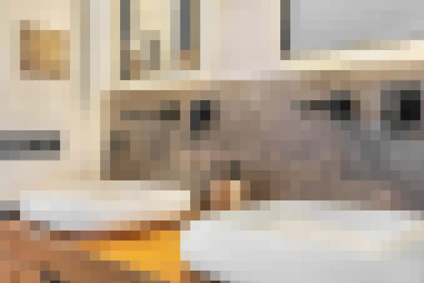 Dr. Poelsstraat 37 Standdaarbuiten thumbnail 37