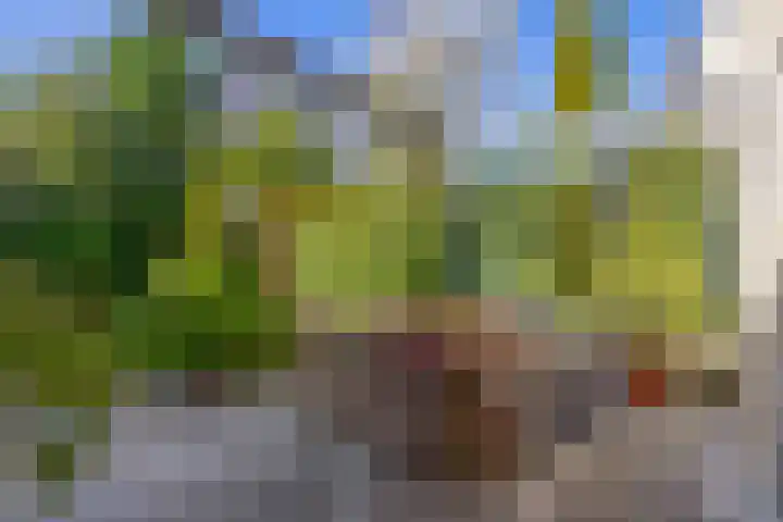 Dr. Poelsstraat 37 Standdaarbuiten thumbnail 39