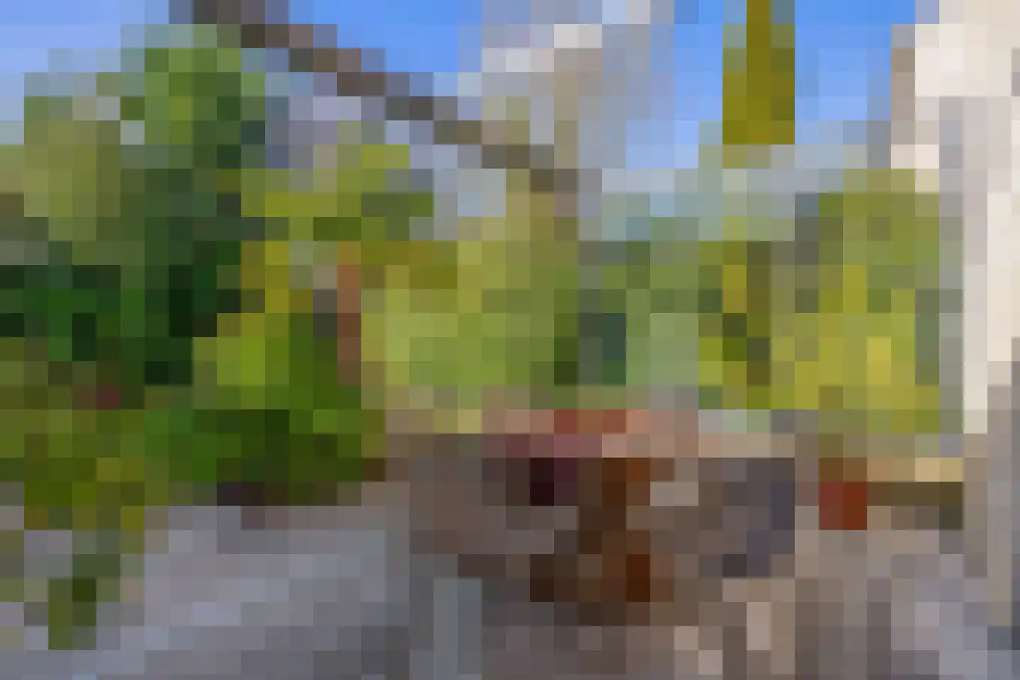 Dr. Poelsstraat 37 Standdaarbuiten thumbnail 39