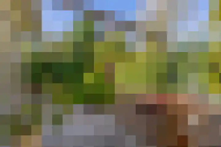 Dr. Poelsstraat 37 Standdaarbuiten thumbnail 40