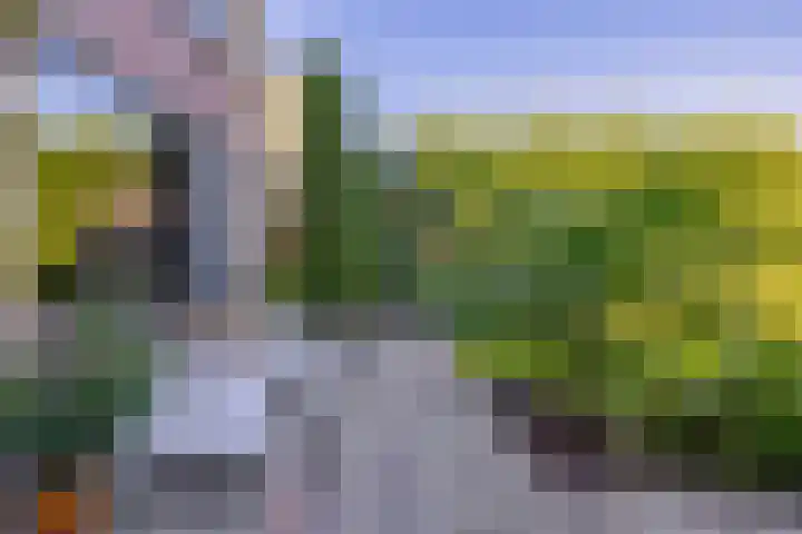 Dr. Poelsstraat 37 Standdaarbuiten thumbnail 41