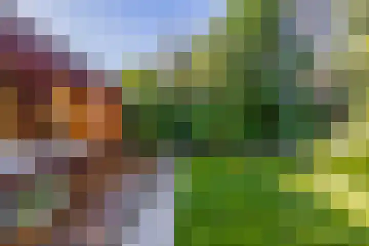 Dr. Poelsstraat 37 Standdaarbuiten thumbnail 44