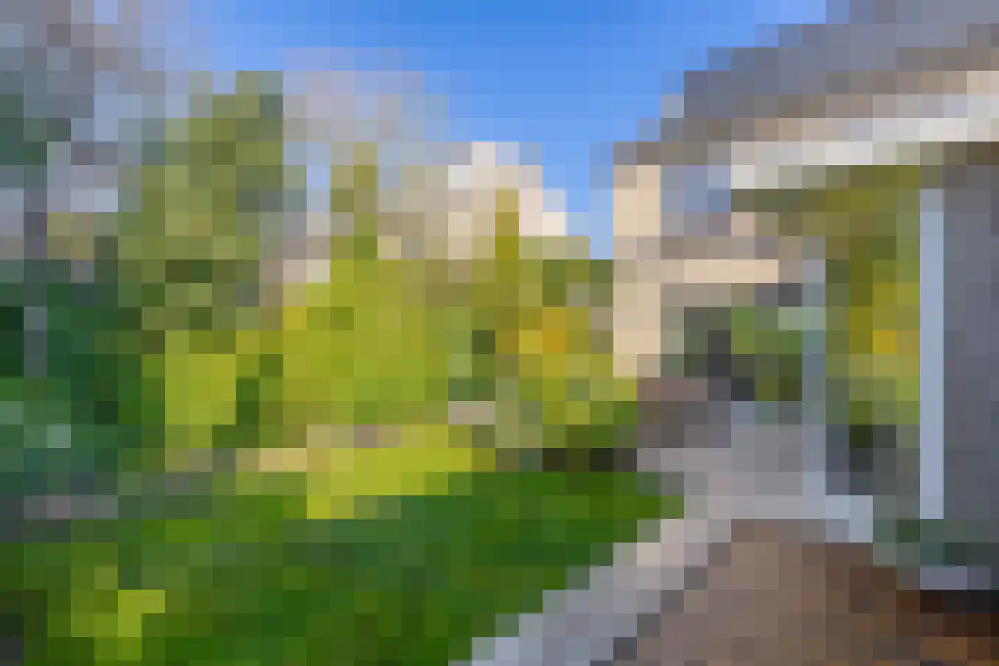 Dr. Poelsstraat 37 Standdaarbuiten thumbnail 45