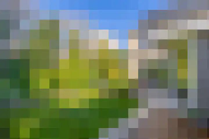 Dr. Poelsstraat 37 Standdaarbuiten thumbnail 45