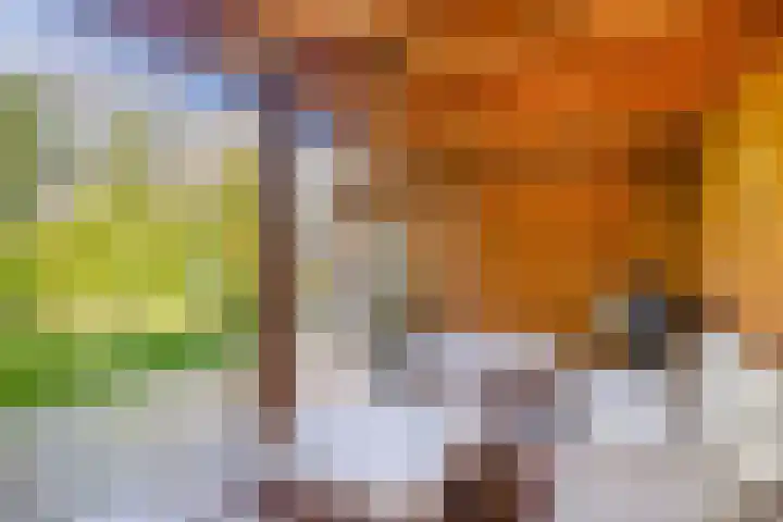 Dr. Poelsstraat 37 Standdaarbuiten thumbnail 47