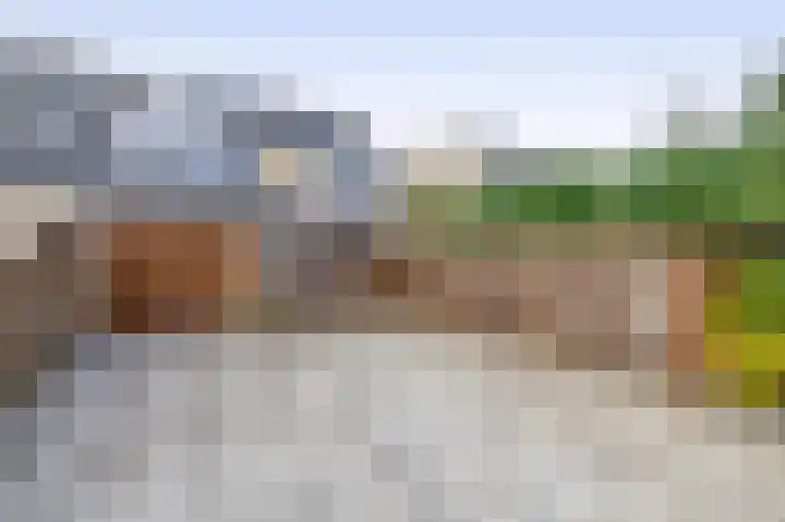 Dr. Poelsstraat 37 Standdaarbuiten thumbnail 7