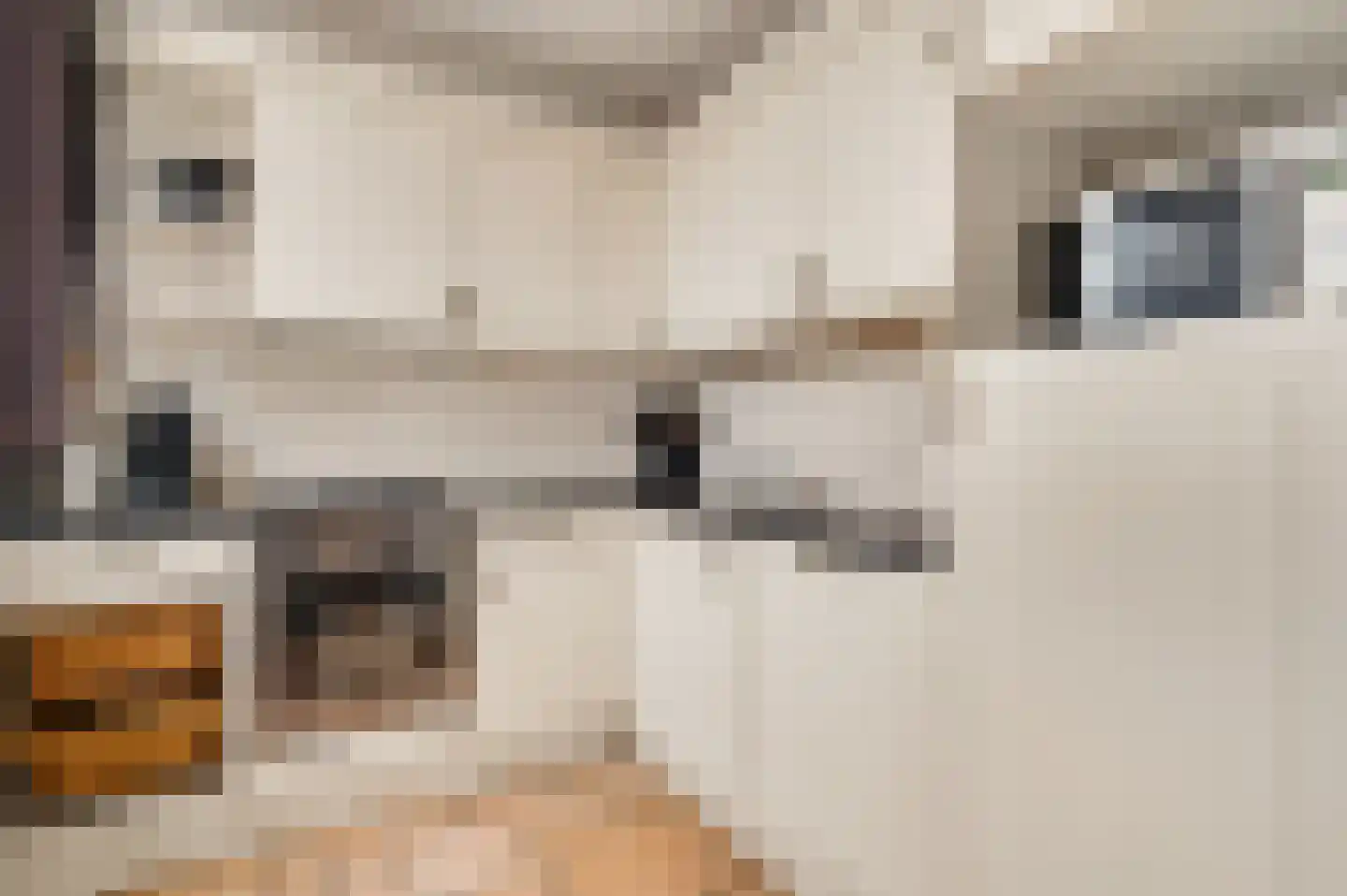 Dr.Poelsstraat 5 Herkenbosch thumbnail 12