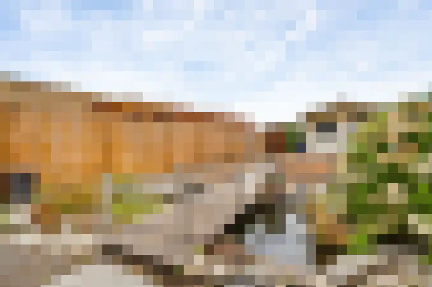 Dr.Poelsstraat 5 Herkenbosch thumbnail 18