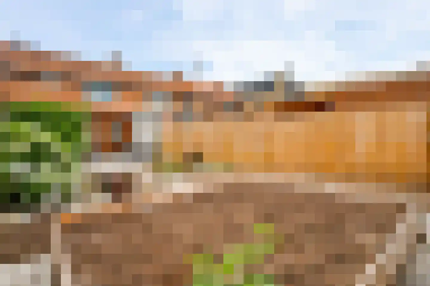 Dr.Poelsstraat 5 Herkenbosch thumbnail 20