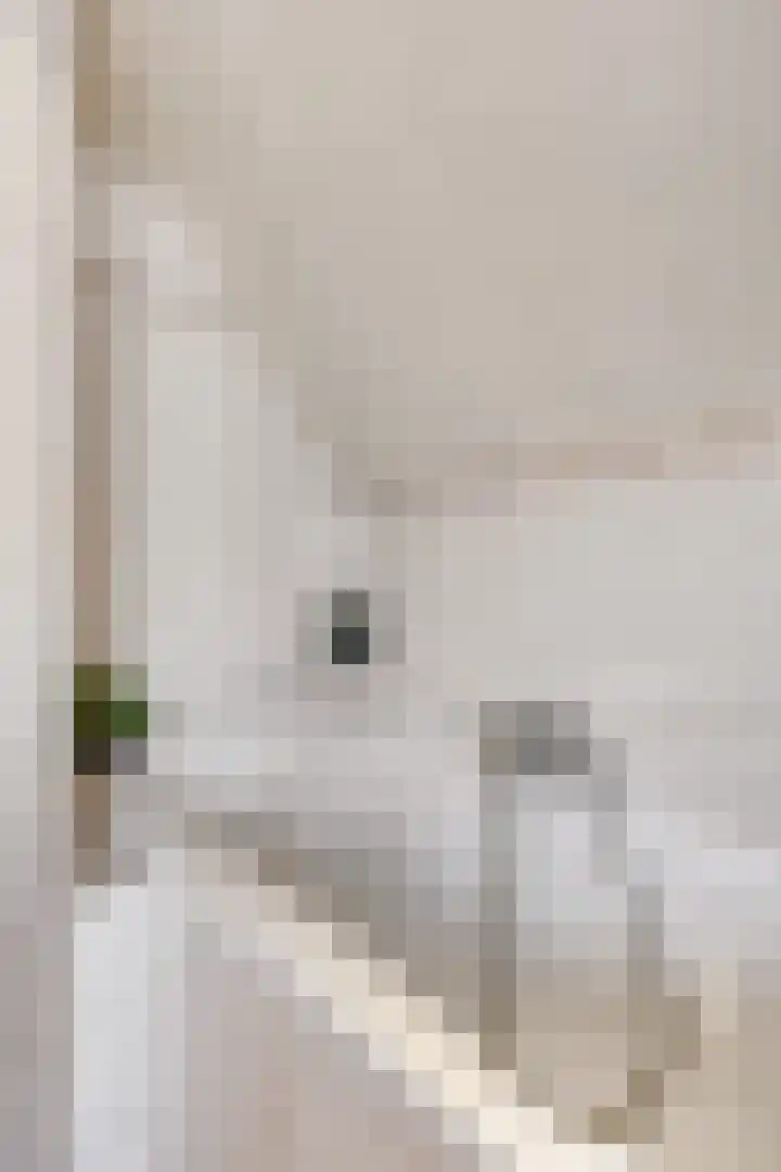 Dr.Poelsstraat 6 Stokkum thumbnail 25