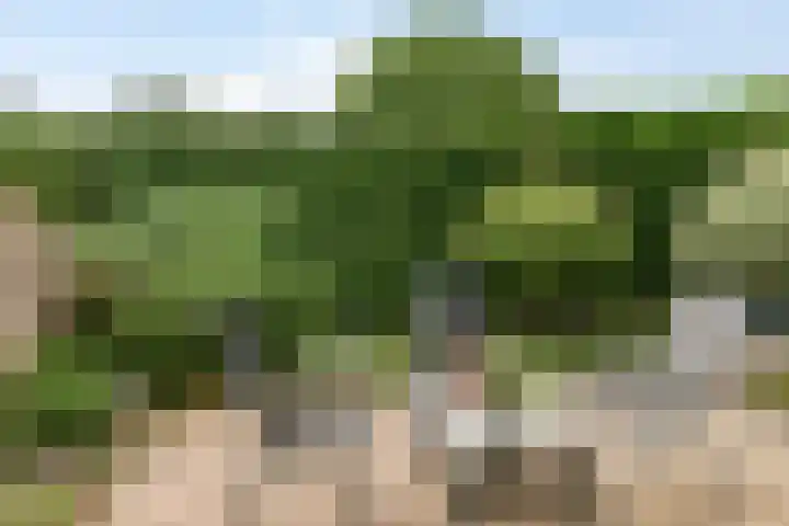Dr.Poelsstraat 6 Stokkum thumbnail 28