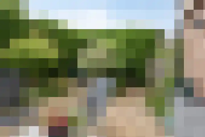 Dr.Poelsstraat 6 Stokkum thumbnail 29