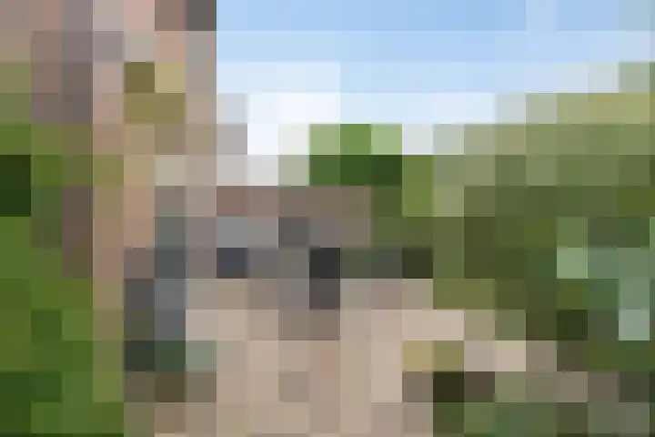 Dr.Poelsstraat 6 Stokkum thumbnail 30