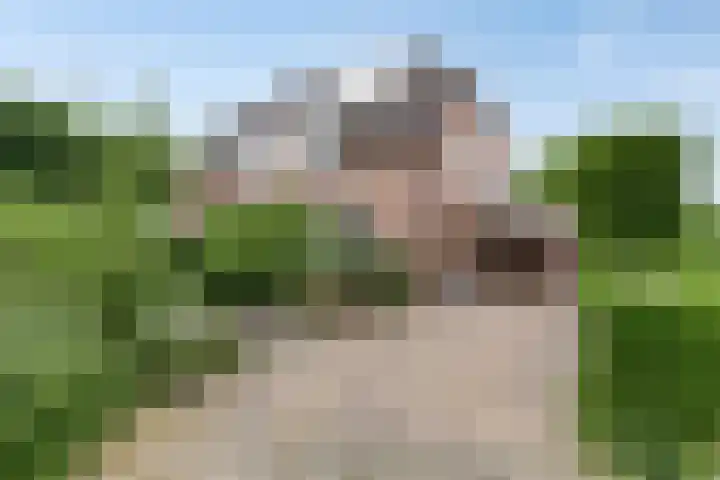 Dr.Poelsstraat 6 Stokkum thumbnail 37