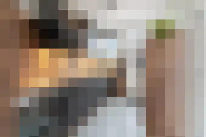 Dr.Poelsstraat 7 Gennep thumbnail 10