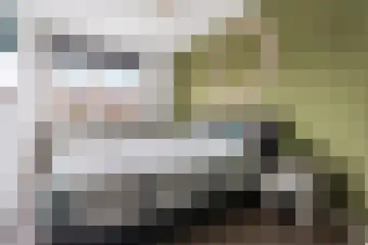 Dr.Poelsstraat 7 Gennep thumbnail 13