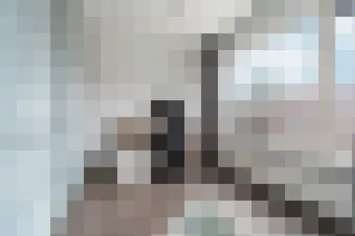 Dr.Poelsstraat 7 Gennep thumbnail 15