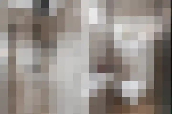 Dr.Poelsstraat 7 Gennep thumbnail 17