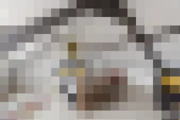 Dr.Poelsstraat 7 Gennep thumbnail 18