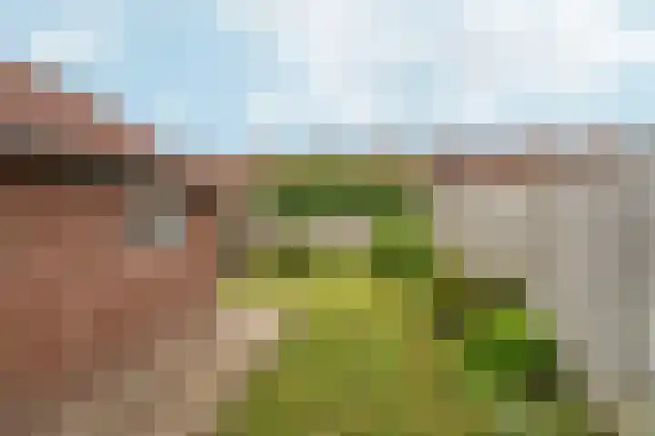 Dr.Poelsstraat 7 Gennep thumbnail 22