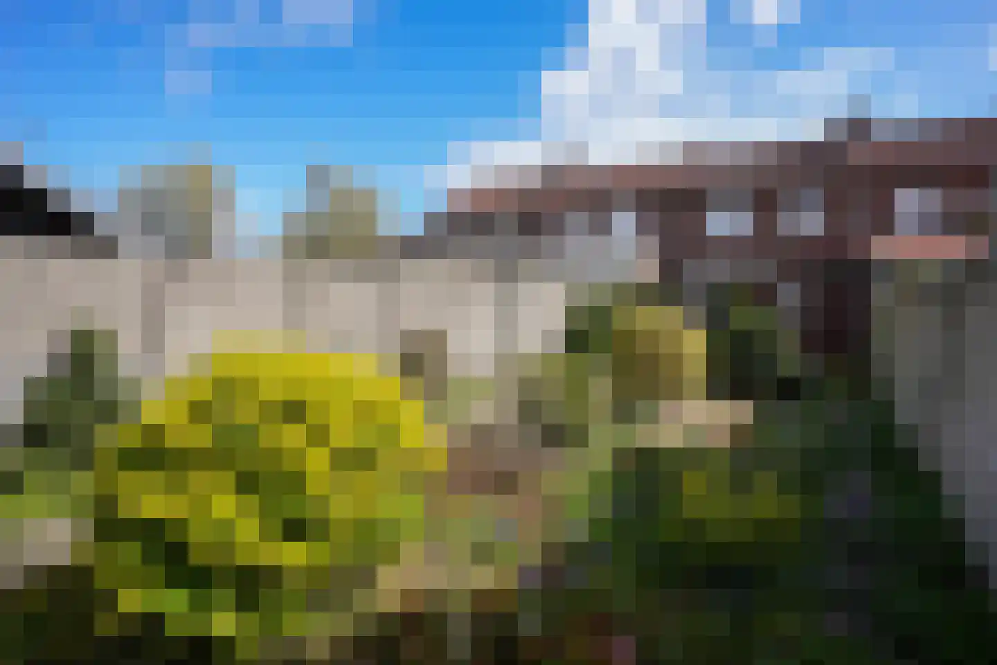 Dr. Poelsstraat 7 Gulpen thumbnail 28
