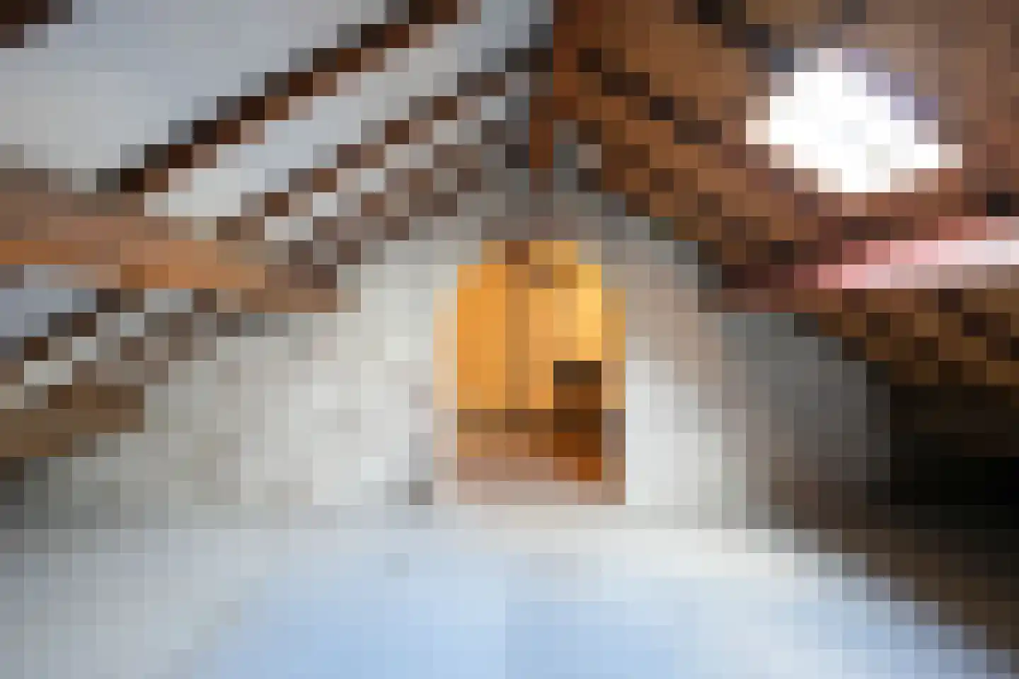 Dr. Poelsstraat 7 Gulpen thumbnail 5