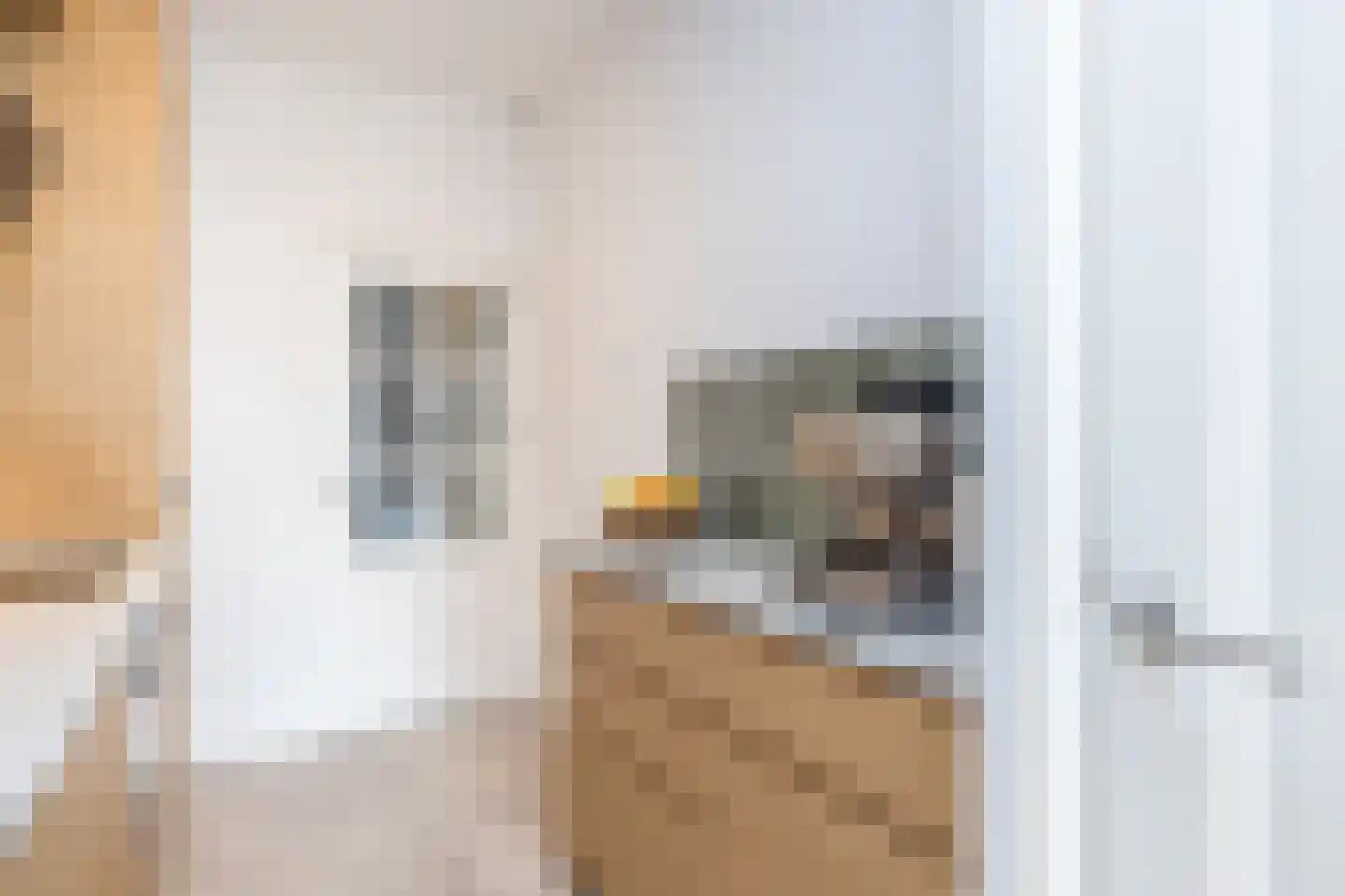 Dr. Poelsstraat 7 Hulsberg thumbnail 16