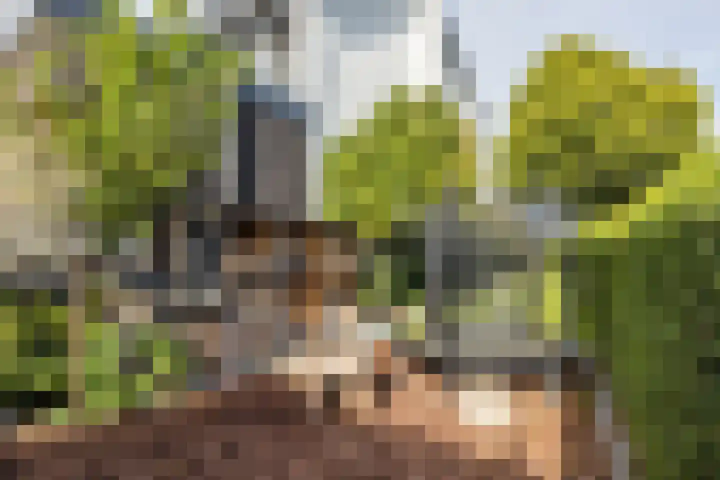 Dr. Poelsstraat 7 Hulsberg thumbnail 46