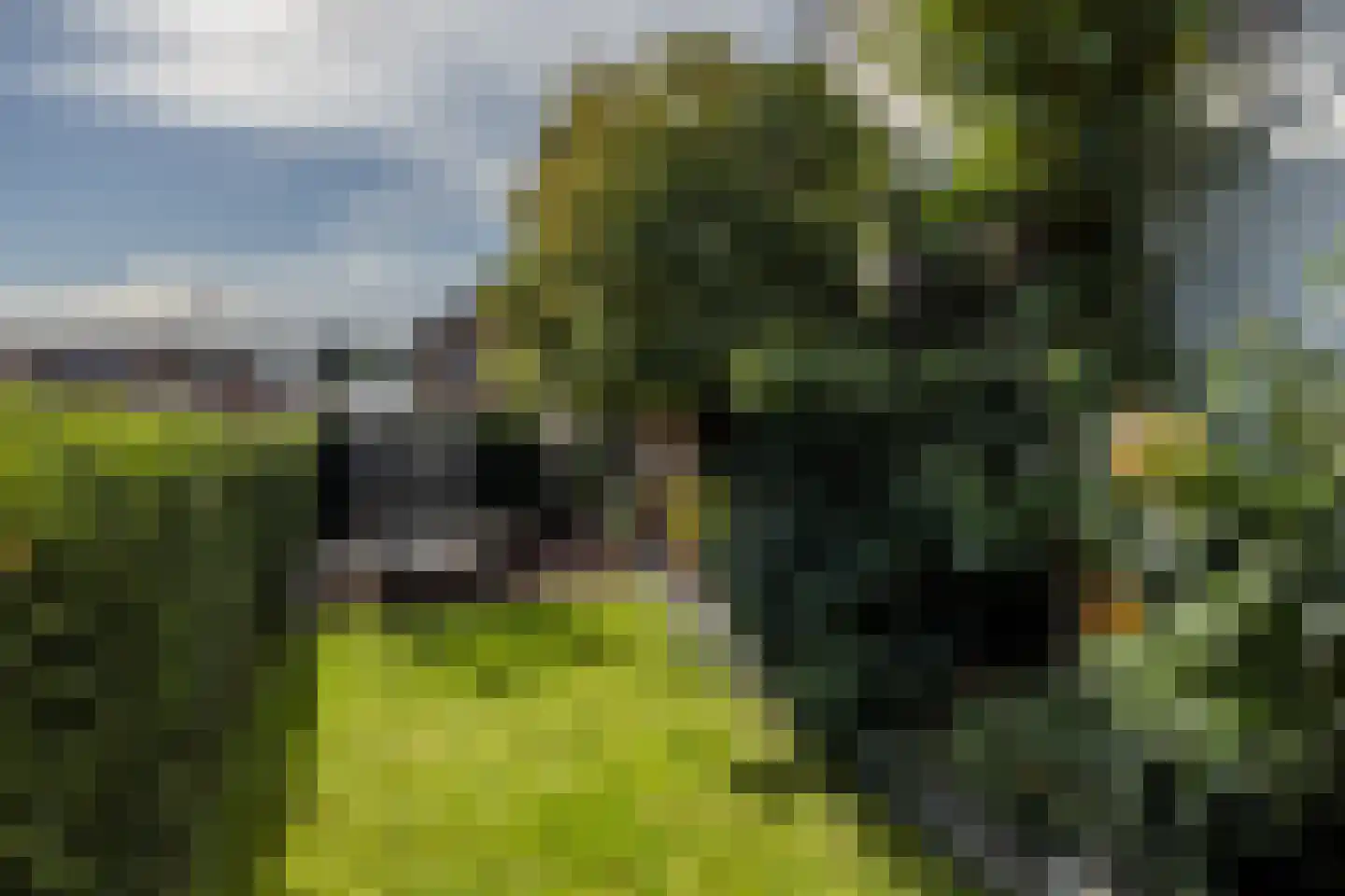 Dr. Poelsstraat 7 Hulsberg thumbnail 47