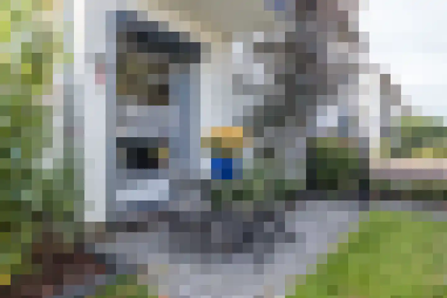 Dr. Poelsstraat 7 Hulsberg thumbnail 48