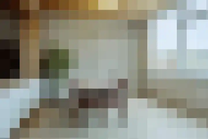 Dr. Poelsstraat 7 Posterholt thumbnail 16