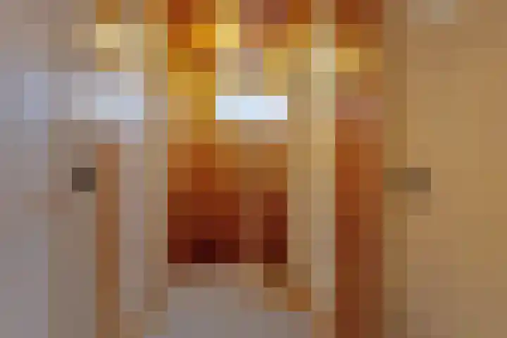 Dr. Poelsstraat 7 Posterholt thumbnail 17