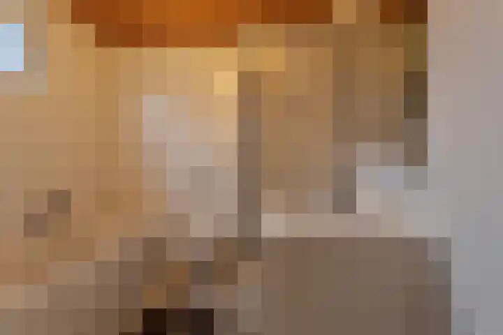 Dr. Poelsstraat 7 Posterholt thumbnail 21